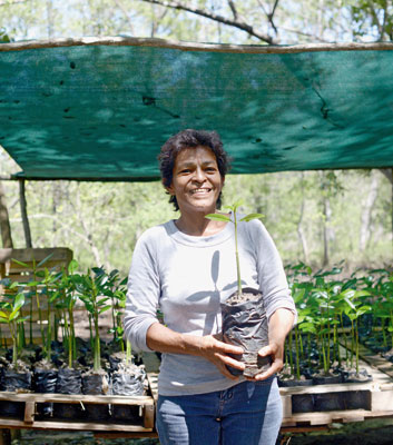 Große Aufgabe: Die zarten Pflänzchen in Francisca Gutierrez Reyes’ Baumschule sollen später zu einem robusten Mangrovenwald werden.
