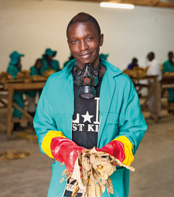 Past and future: agriculture student Barnet Magombo is learning how to farm tobacco. But one day as an advisor he intends to show farmers how to successfully cultivate other crops.