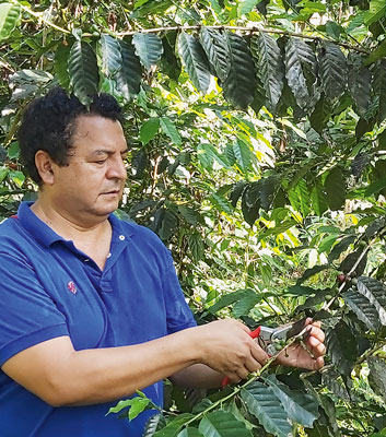 PEDRO RAMIREZ(54) ist Diplom-Landwirt in Ecuador. Er berät im Auftrag der GIZ Kleinbäuerinnen und -bauern in der Provinz Napo, damit sie durch die nachhaltige Nutzung der Natur gut leben können. 