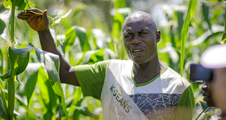 „Ich will Farmer sein, kein Kleinbauer”, sagt Charles Ogolla.