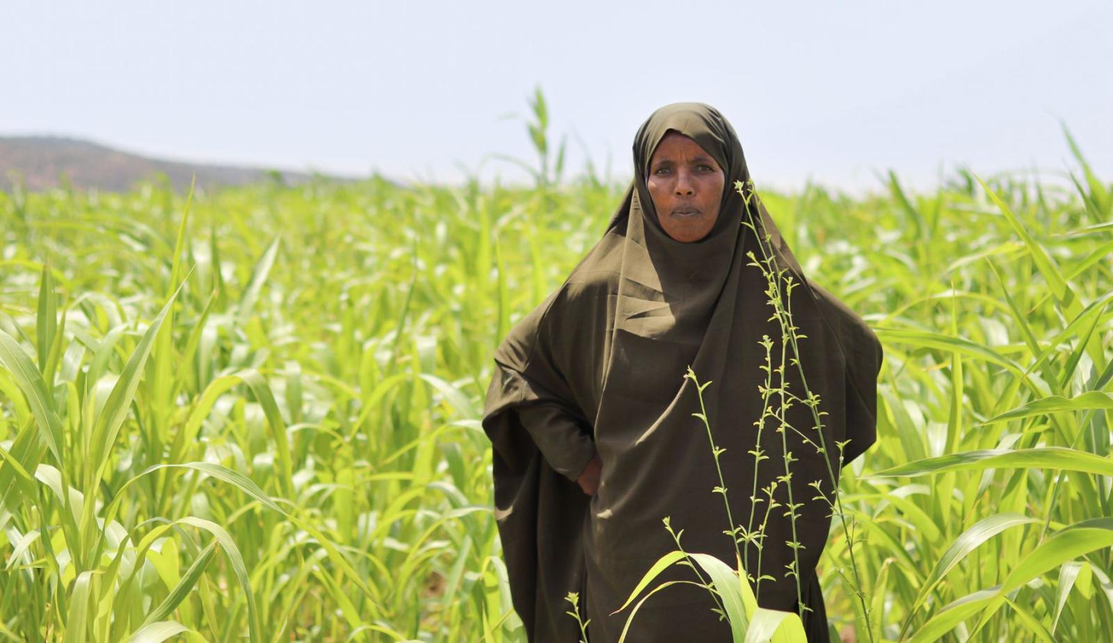 Frau mit religiöser Kopfbedeckung steht im Maisfeld für ein Porträt