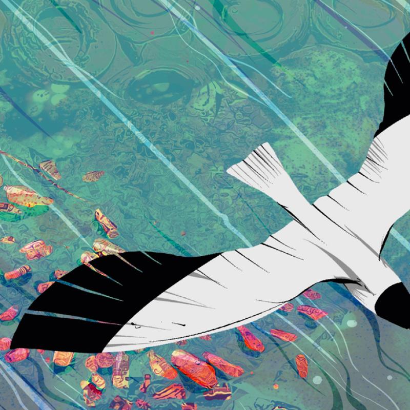 Illustration von zwei Vögeln, die über ein Meer mit sichtbarer Müllverschmutzung wie Plastikflaschen und Plastiktüten fliegen. Das Bild soll auf die Verschmutzung der Meere aufmerksam machen.