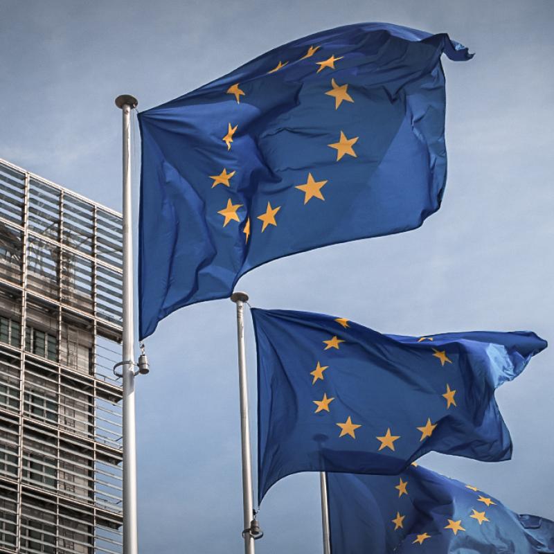 Zwei EU-Flaggen wehen vor einem Gebäude mit Glasfassade unter bewölktem Himmel.