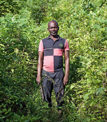 Der Familientradition treu – schon der Vater von Gaston Kouassi Yao baute in Côte d’Ivoire Kakao an. Der Sohn ist stolz darauf, die Erträge erhöht zu haben.