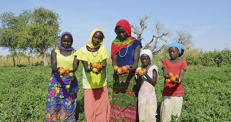 In the summer, the children help to bring in the harvest, which also pays for their school fees.