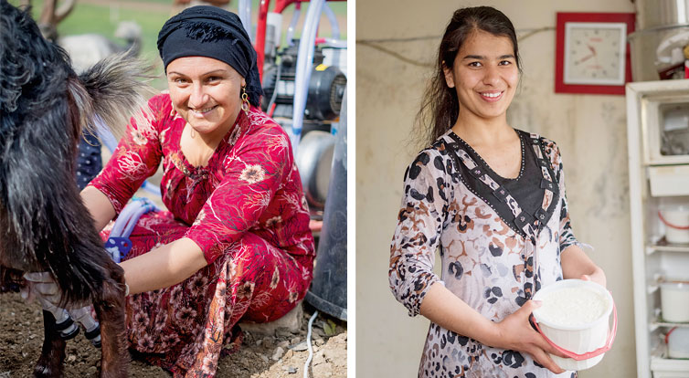 The most popular helper for the workers on Hassan Othman Pirman’s farm is the new milking machine. It’s also making life easier for Huda Ali Khalaf (left), who fled to northern Iraq from Syria with her family. (Right) Sazan Hassan, one of the farmer’s daughters, with home-made yoghurt.