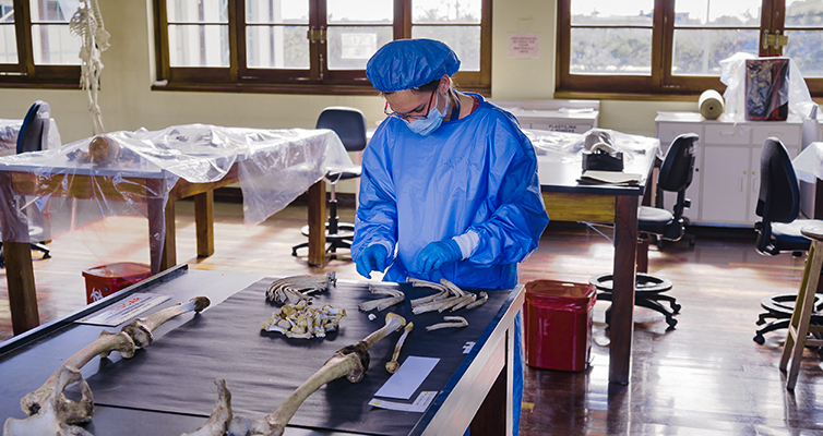 Eine Forensikerin des Gerichtsmedizinischen Institutes von Kolumbien untersucht ein menschliches Skelett. Das Institut identifiziert Verschwundene.