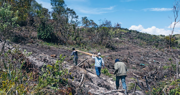 Spuren der Zerstörung im kolumbianischen Naturschutzgebiet Parque Entrenubes, das für die ­Wasserversorgung der Millionenmetropole Bogotá wichtig ist. 