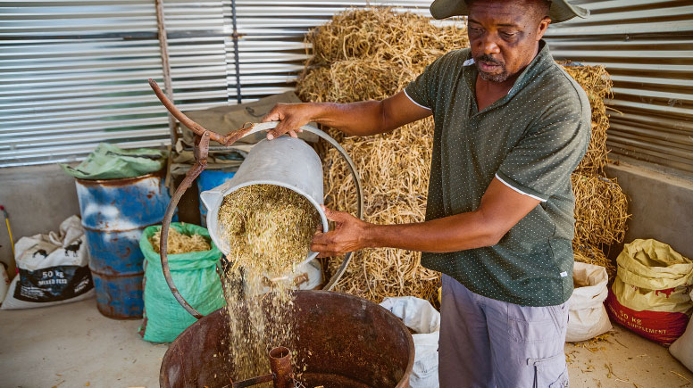 Smallholder Salomo Kauari keeps his livestock on communal land. The goats prevent the bush from growing back quickly.