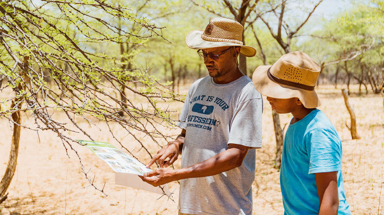 Ruben Uazukuani zeigt seinem Sohn, wie sich die Verbuschung durch den Klimawandel beschleunigt hat.