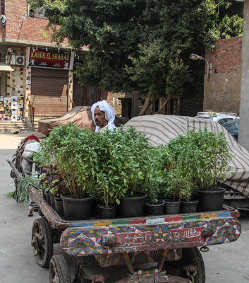 Street life in the informal settlement Ezbet al-Nasr in Cairo