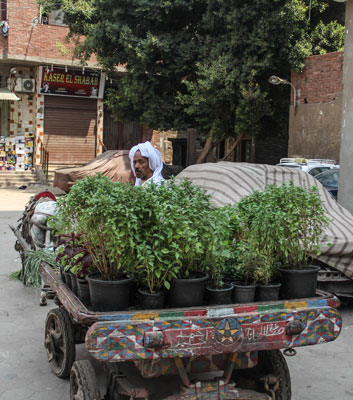 Eindrücke aus der informellen Siedlung Ezbet al-Nasr in Kairo