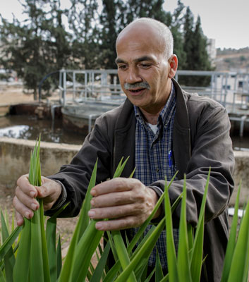 Naim Ghazawi, Leiter der Abwasserabteilung der Stadtverwaltung Jenin
