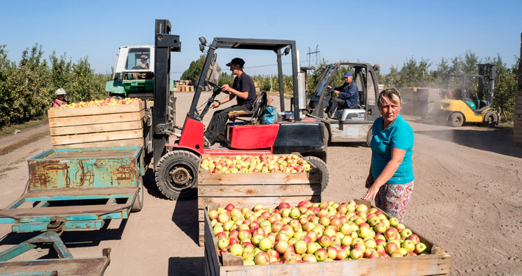 Farmers want to organise fruit processing locally in future, and thus create jobs.