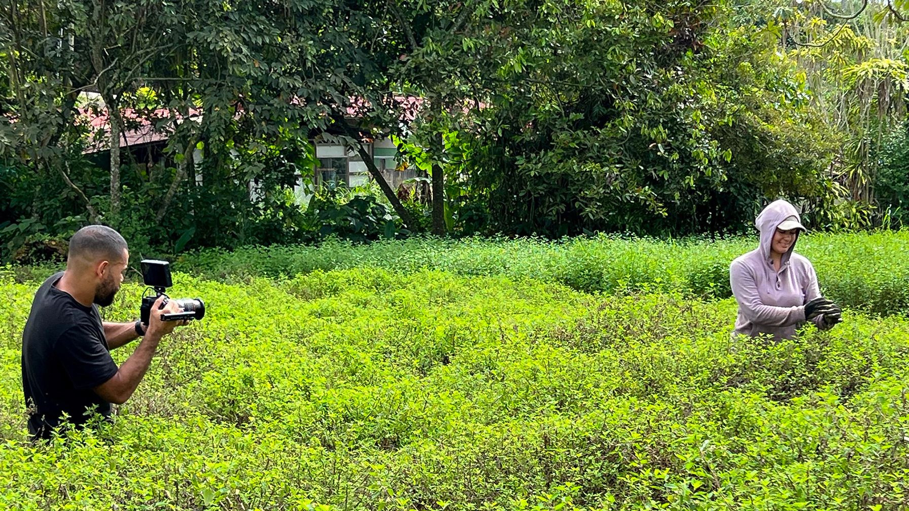 Ein Fotograf in einem grünen Feld fotografiert eine Person, die in lila Kleidung und mit Handschuhen Kräuter pflückt.