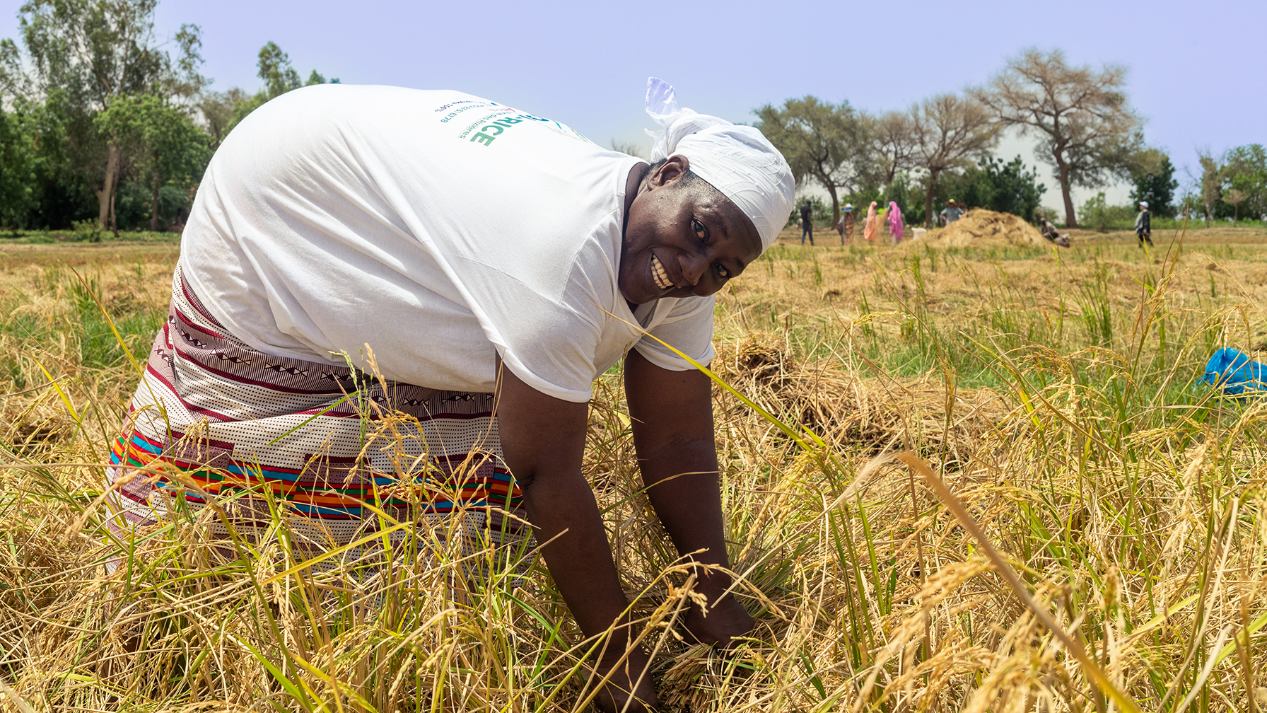 Reisbäuerin Rakia Madougou auf dem Feld
