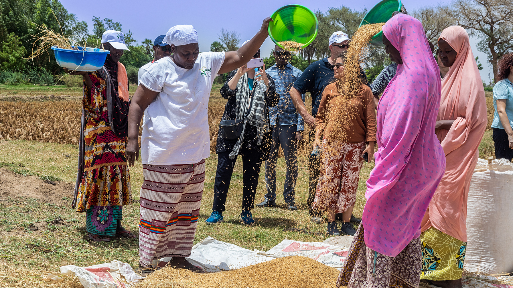 Reisbäuerin Rakia Madougou zeigt ihre Ernte