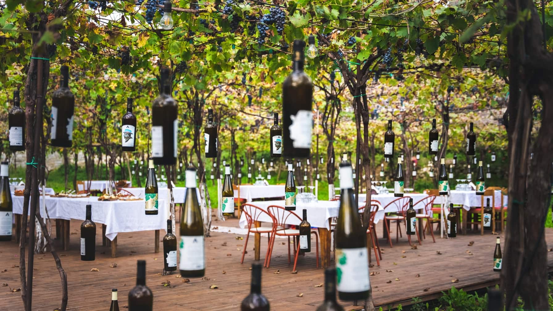 Ein Weingarten mit hängenden Flaschen über einer festlich gedeckten Terrasse voller Tische und Stühle.