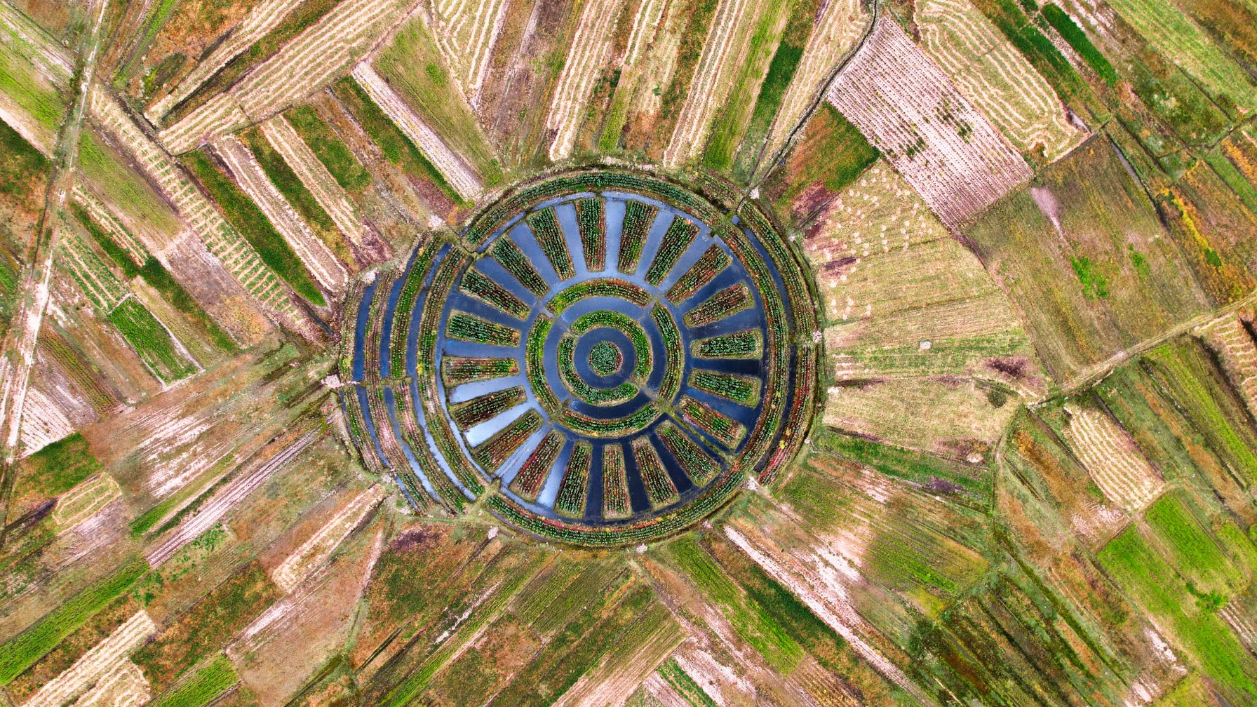 Aerial view of a circular agricultural field with water basins and green planting rows.