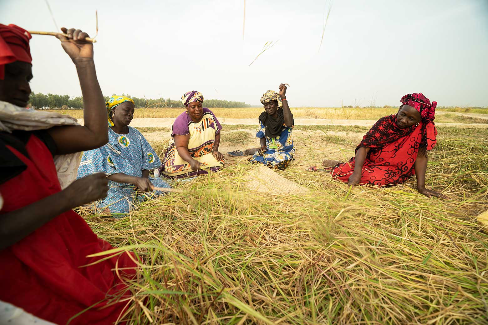 Die Frauen im Sahel bauen im kleinen Rahmen Gemüse und Reis an. 