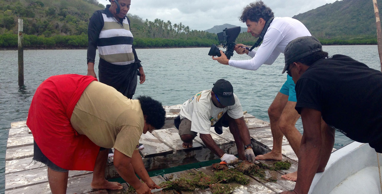 The island Republic of Fiji aims to grant special protection status to almost a third of its marine areas by 2020. Activities in this field include sustainable fishery and shellfish farming.