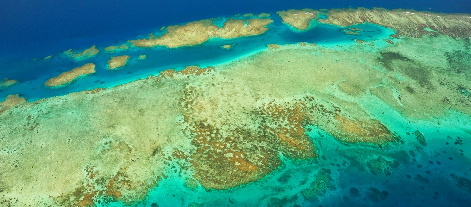 Luftaufnahme eines Korallenriffs, das Teil der Fidschi-Inseln ist, mit klarem türkisfarbenem und dunkelblauem Meerwasser.
