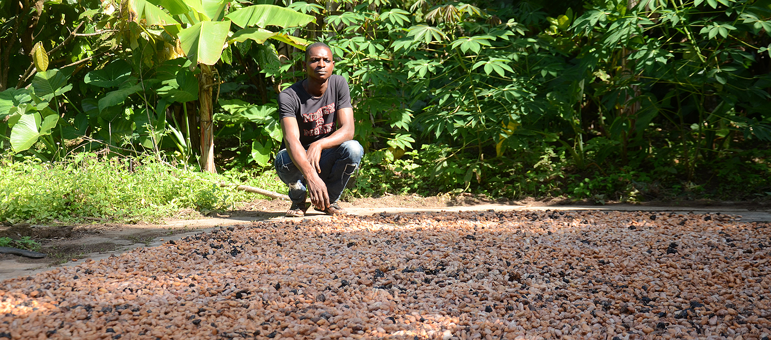 Ein Mann hockt vor geernteten Kakaobohnen, die vor ihm ausgebreitet auf dem Boden liegen, in einem dicht bewachsenen Wald in Nigeria. Er trägt ein schwarzes T-Shirt und eine Jeans. 