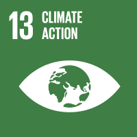 13 CLIMATE ACTION, SDG