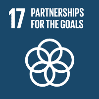17 PARTNERSHIPS FOR THE GOALS, SDG