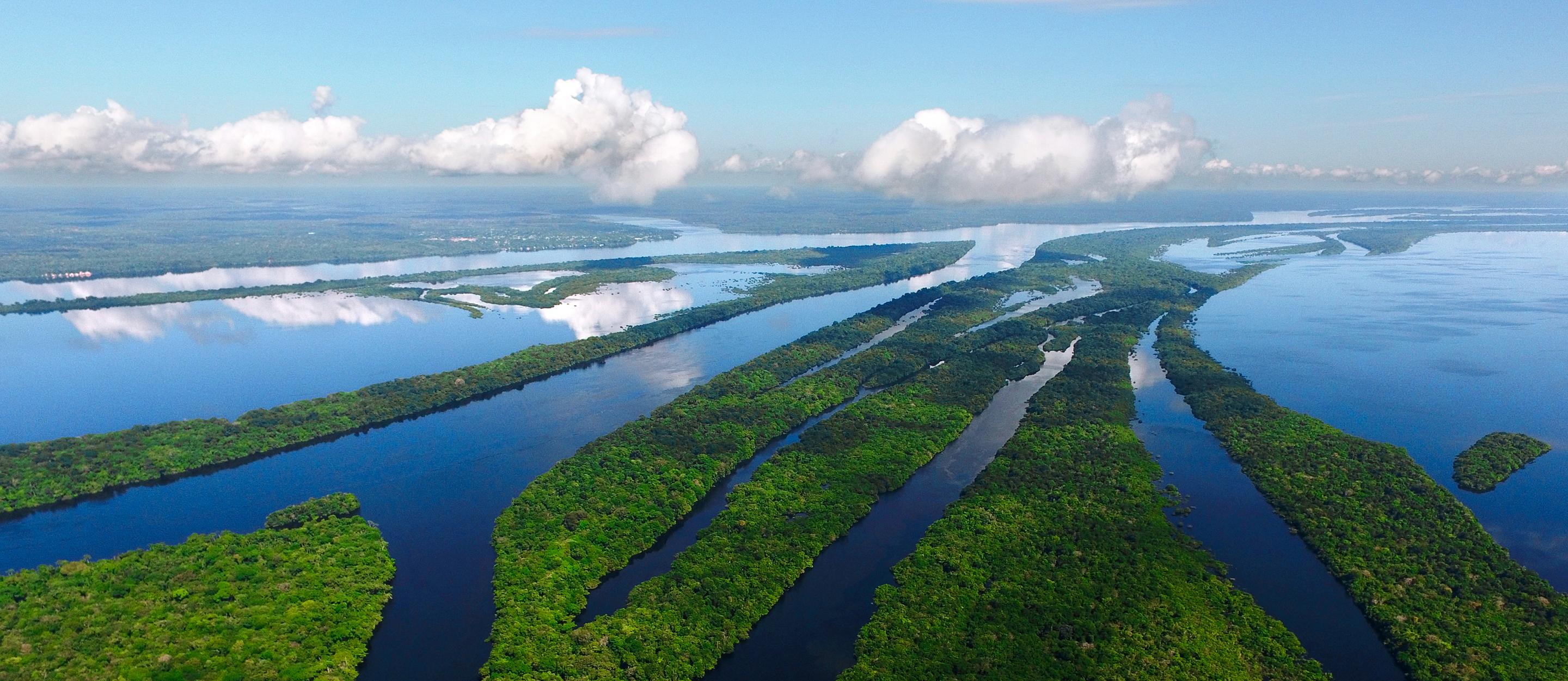 Anavilhanas-Nationalpark. Novo Airão, Amazonas, Brasilien