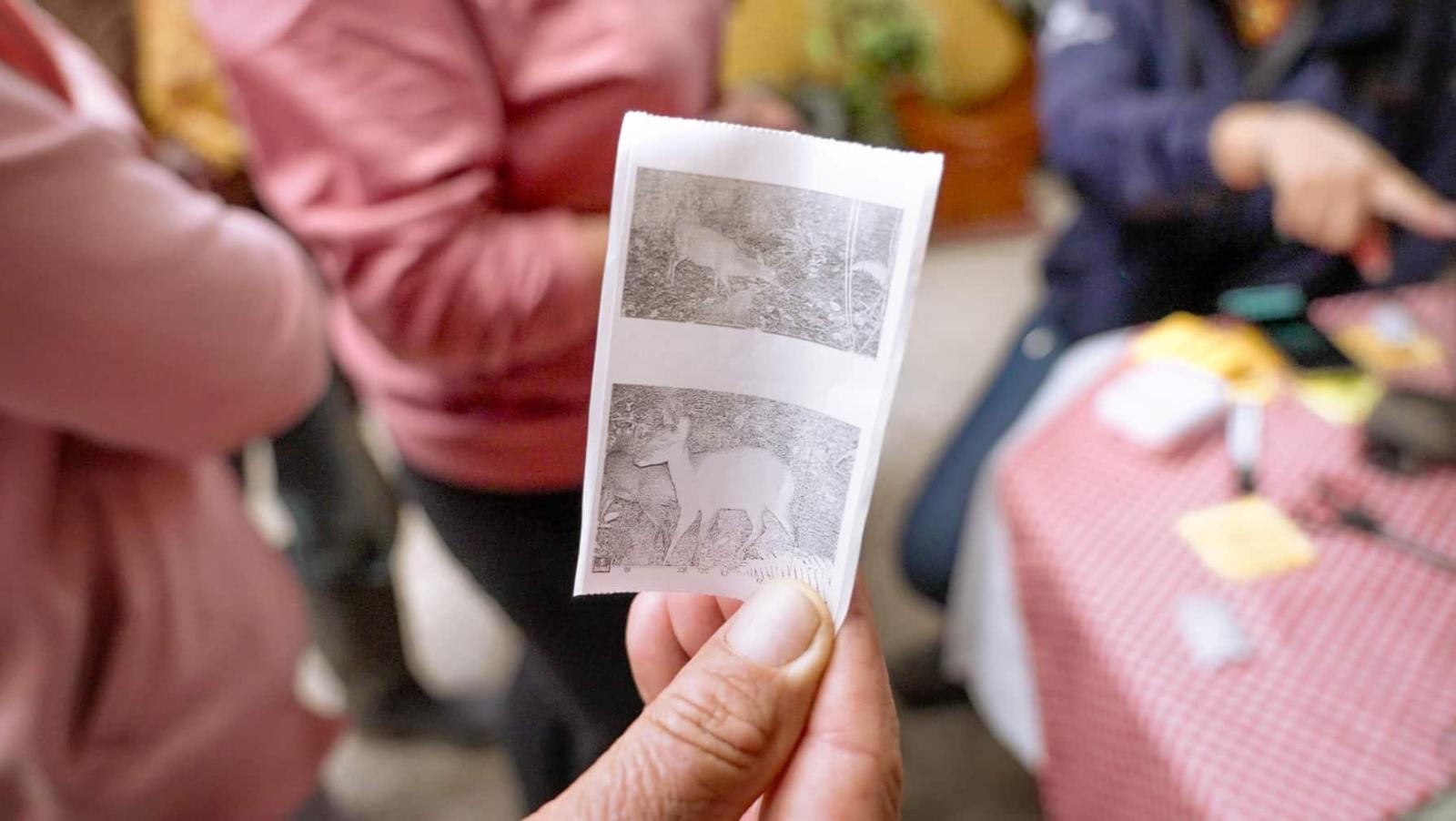 Eine Hand hält ein ausgedrucktes Foto mit zwei Schwarz-Weiß-Bildern eines Rehs im Wald, im Hintergrund unscharfe Personen.