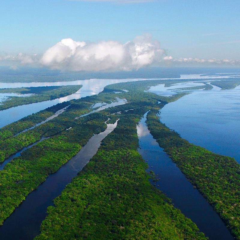 Anavilhanas-Nationalpark. Novo Airão, Amazonas, Brasilien