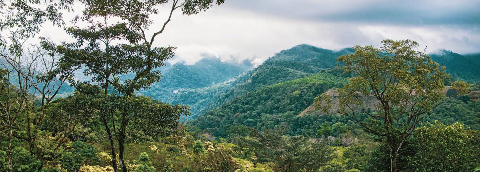 „La Tigra“ in Costa Rica