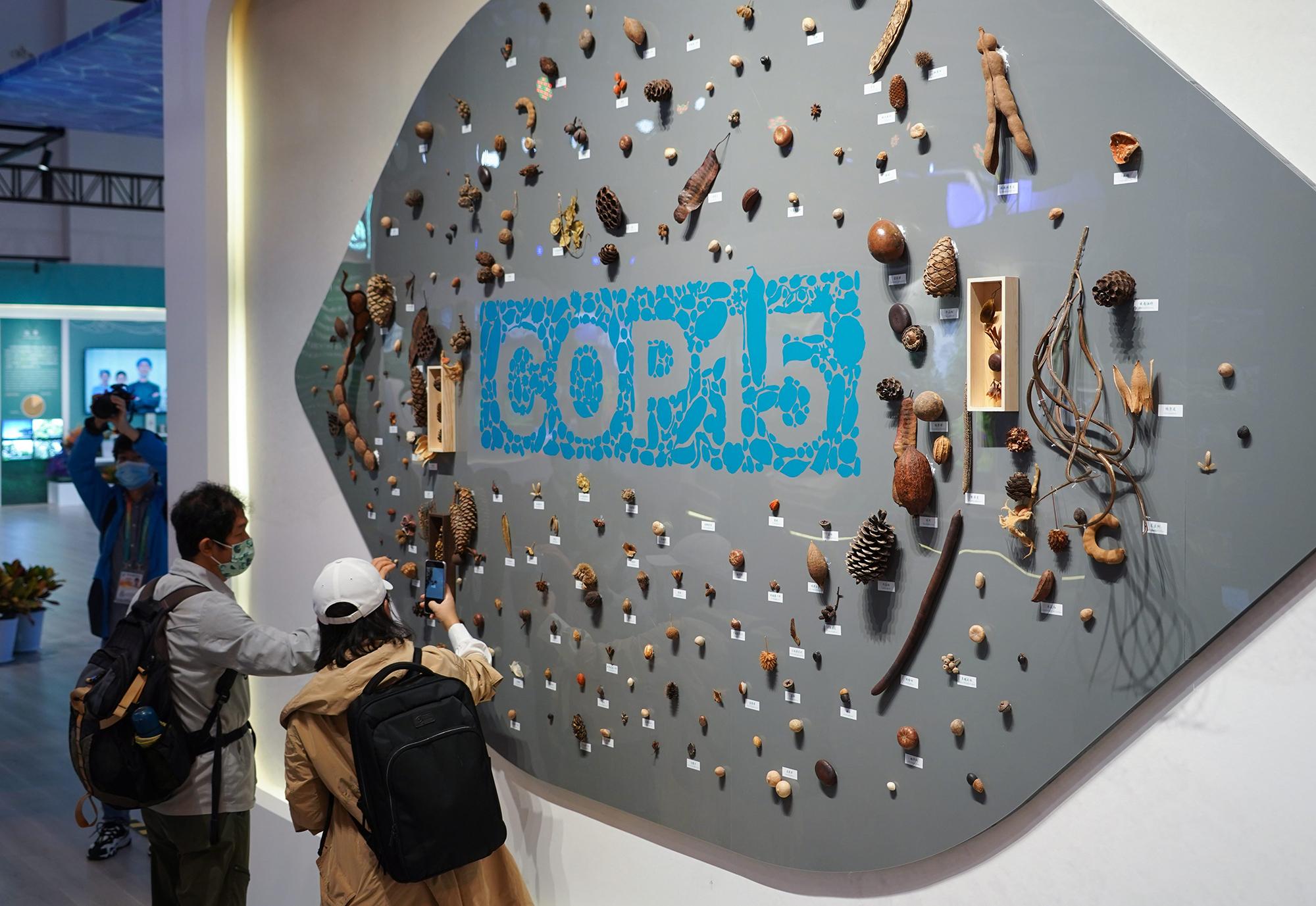 COP 15 - seed wall