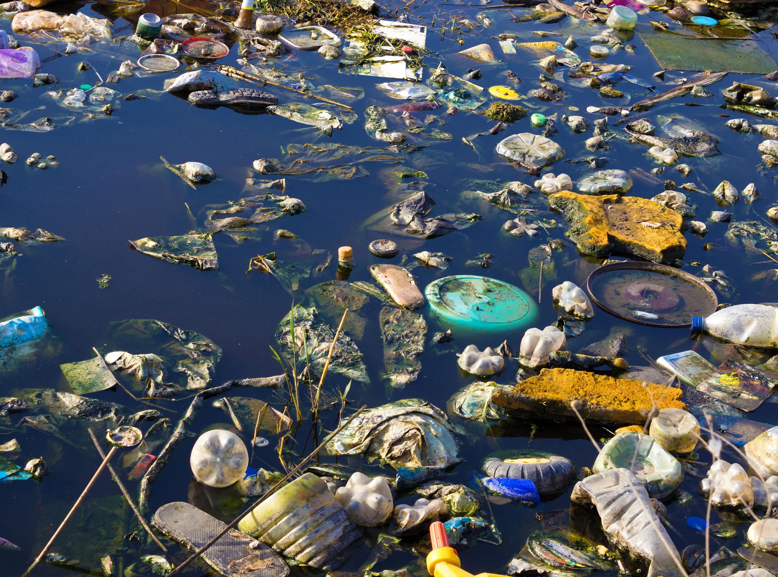 biodiversity plastic