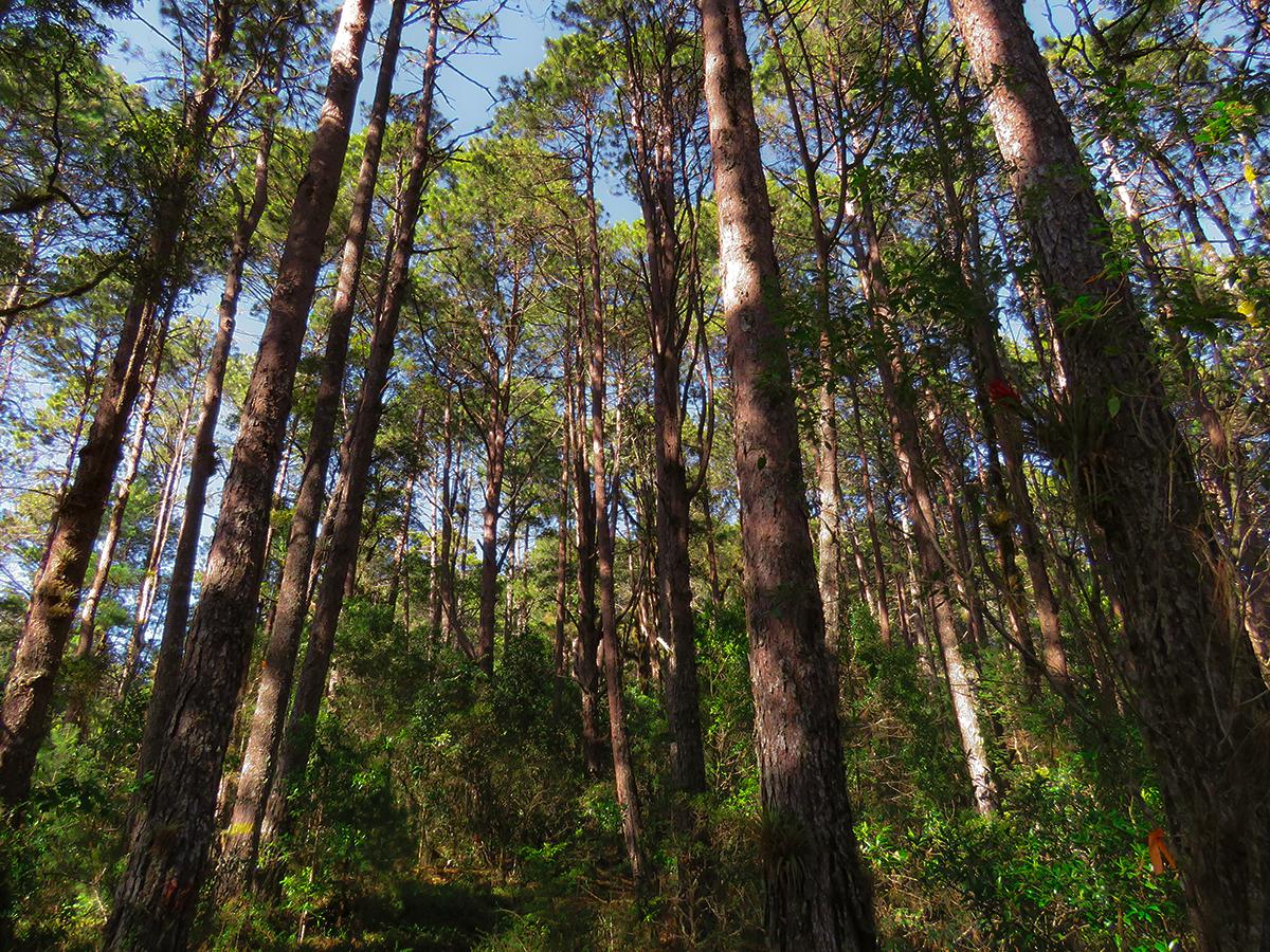 Honduras Biodiversity