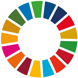 SDG wheel
