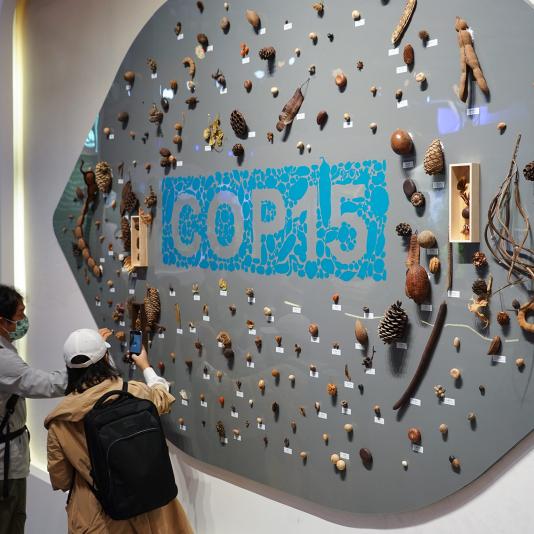 COP 15 - seed wall
